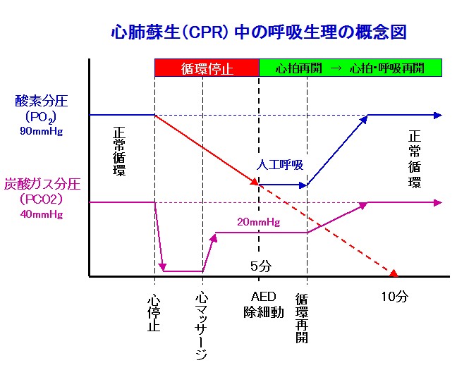 分 動脈血 圧 酸素